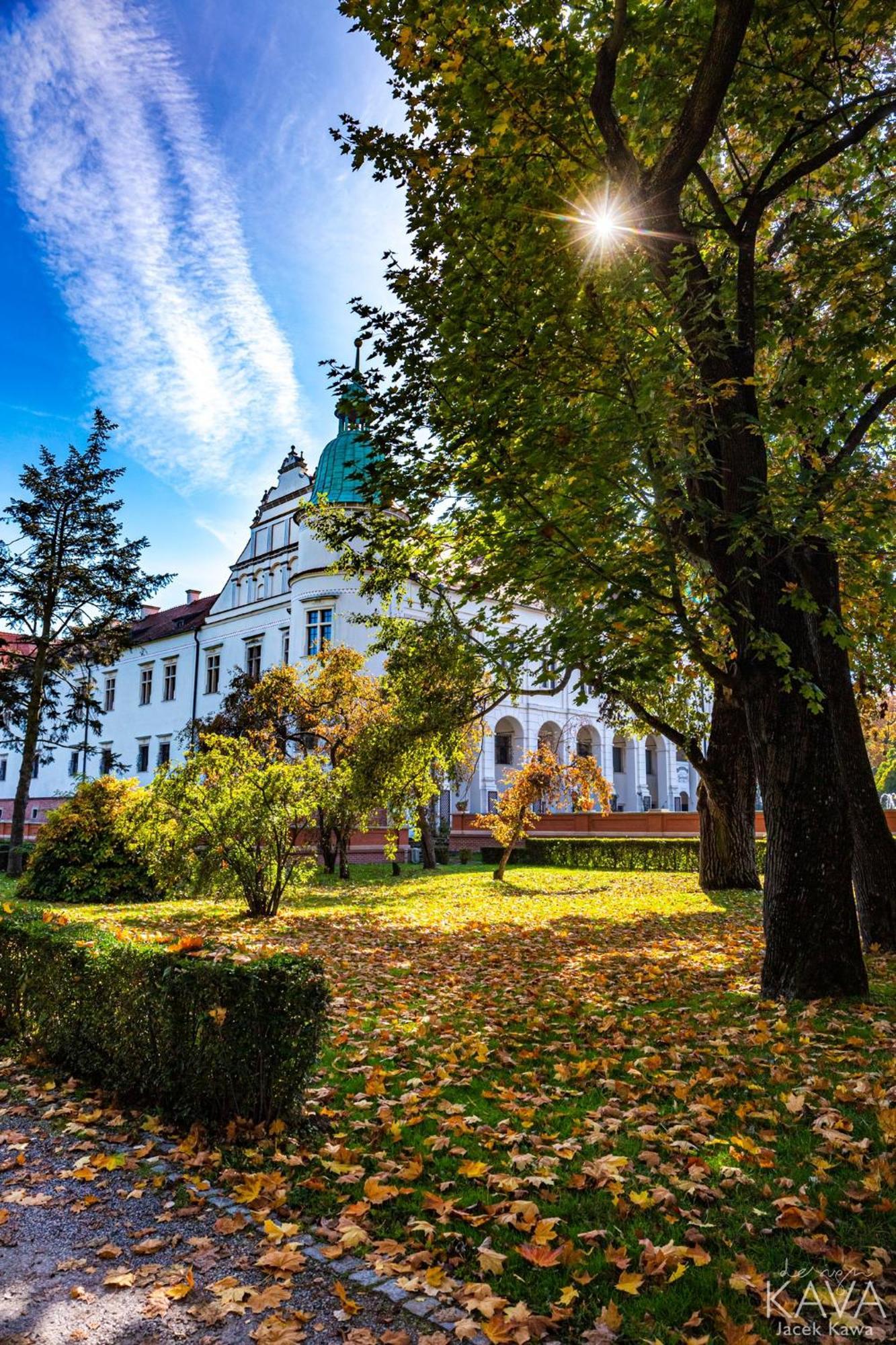 Zamek W Baranowie Sandomierskim Баранув-Сандомирський Екстер'єр фото